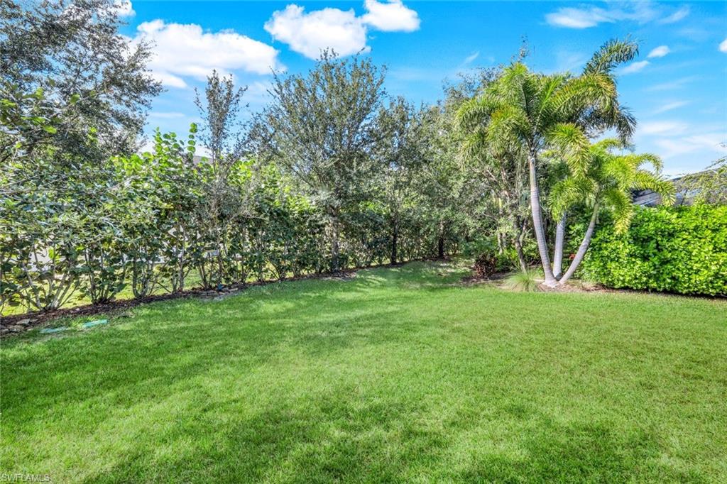 4244 Raffia Palm Circle Naples, FL 34119 - Photo 33 of 38 a view of a yard with a tree