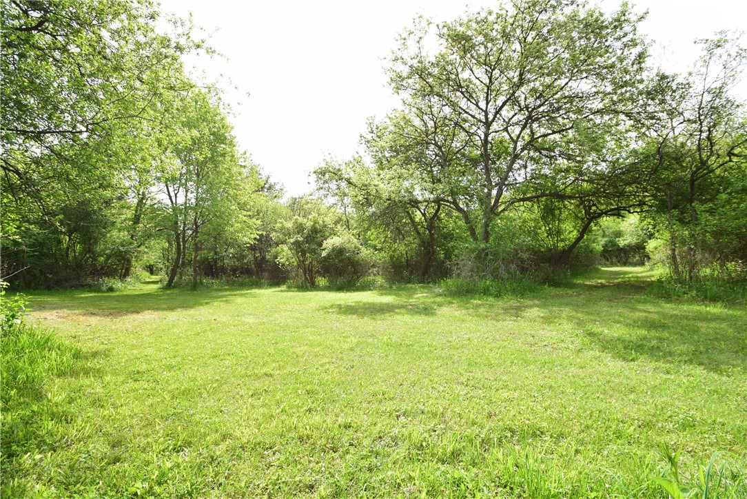 200 Spring Street Caledonia, NY 14423 - Photo 42 of 50 Multiple paths and clearings in the 9+ acres of wo
