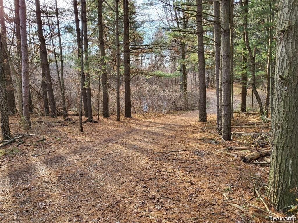 4320 West Oregon Road Lapeer, MI 48446 - Photo 13 of 63