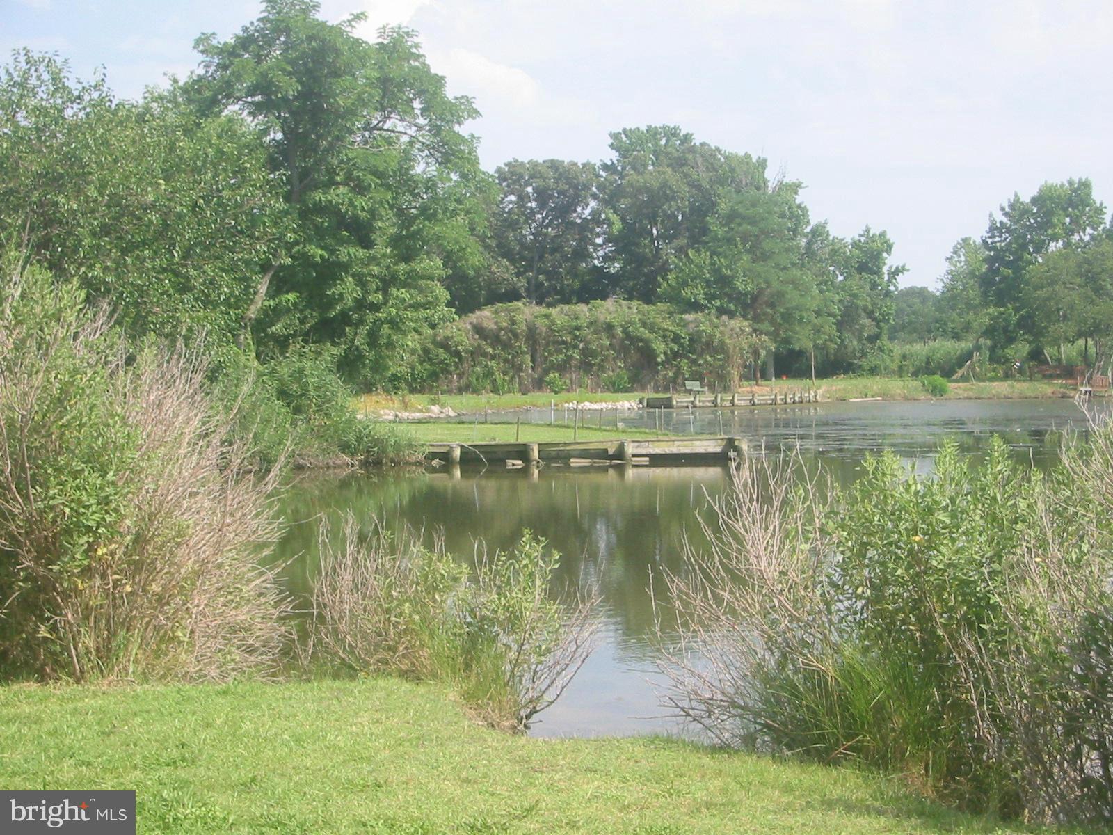 1932 Hilltop Road, Unit 1932 Pasadena, MD 21122 - Photo 11 of 14 Hines Pond
