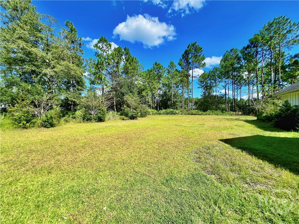 13 North Eagle Drive Jesup, GA 31546 - Photo 30 of 30