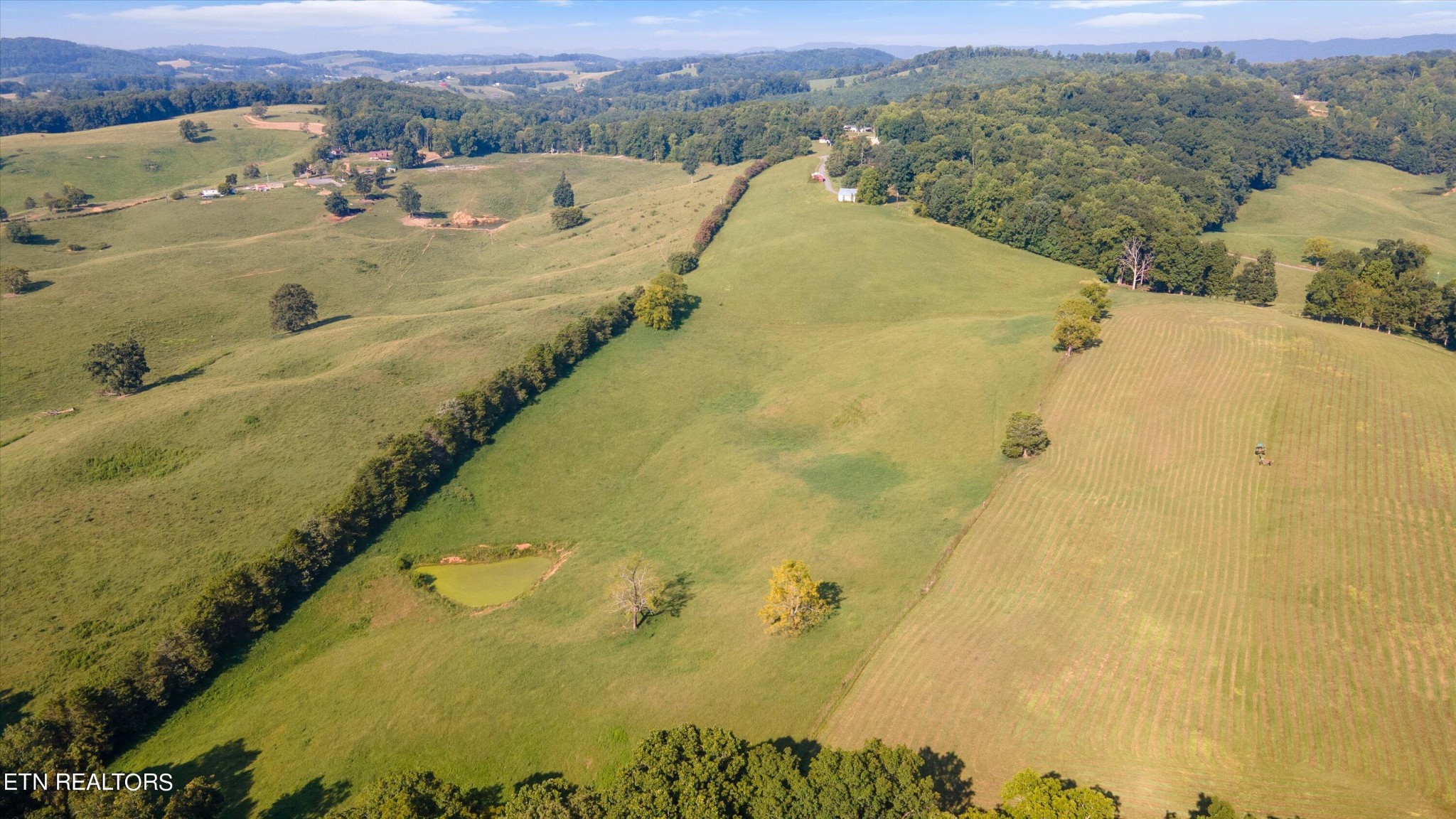 1 Hugh Cameron Road Rutledge, TN 37861 - Photo 8 of 15 Gallery Image 8