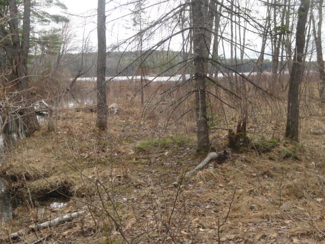 38 Wint Road Harrison, ME 04040 - Photo 32 of 34 From the walking trail along the...