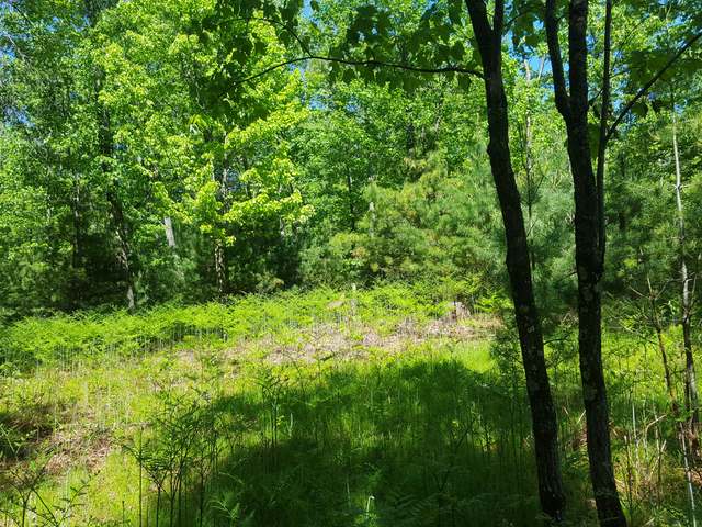 Off Jacoby Road Conover, WI 54519 - Photo 7 of 16 Gallery Image 7