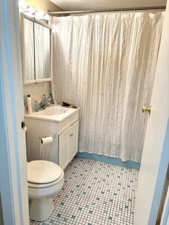 a bathroom with a sink a toilet and shower curtain