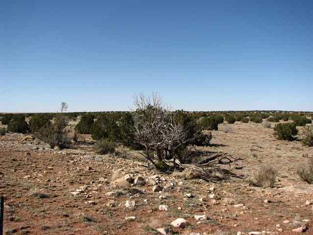 6 T14n R17e:ne4 Ne4 Heber, AZ 85928 - Photo 1 of 1
