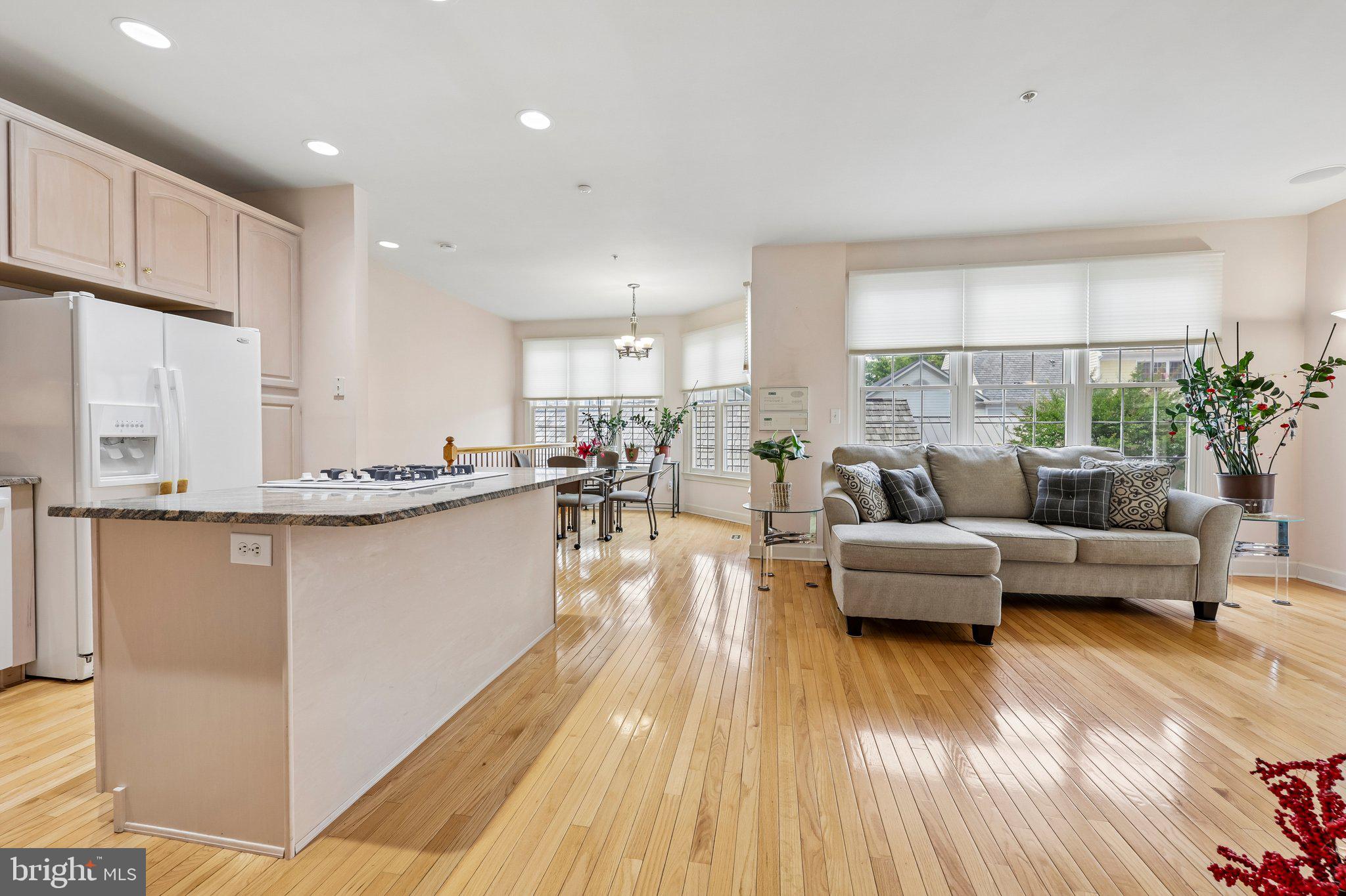 331 Alfandre Street Gaithersburg, MD 20878 - Photo 10 of 38 Spacious, sunlit open-concept living.