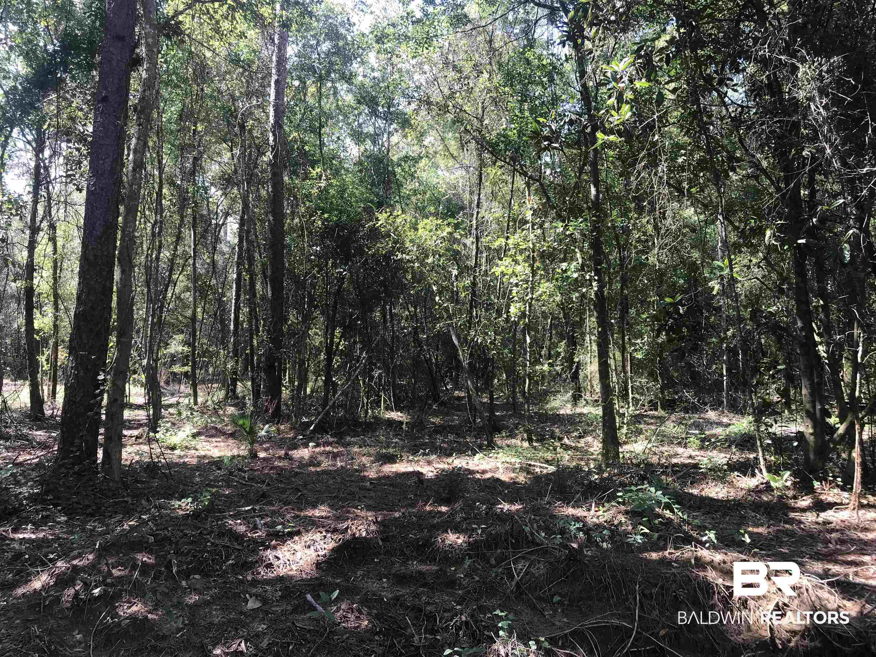 14388 State Highway 104 Silverhill, AL 36576 - Photo 10 of 11 View of local wilderness