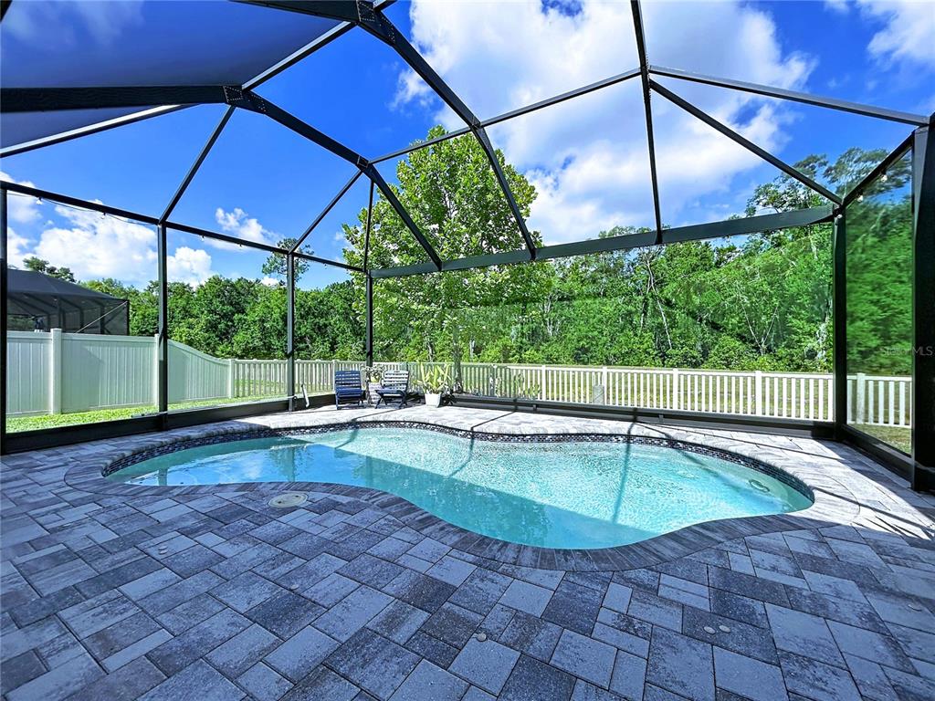 18078 Romanesque Court Spring Hill, FL 34610 - Photo 58 of 81 a view of a backyard with a small swimming pool