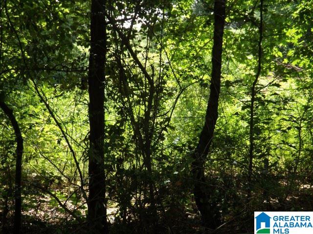 915 Burgett Road Altoona, AL 35952 - Photo 19 of 36