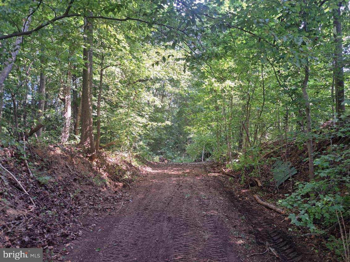 17012 Prince Frederick Road Hughesville, MD 20637 - Photo 1 of 6 a view of a forest with trees in the background
