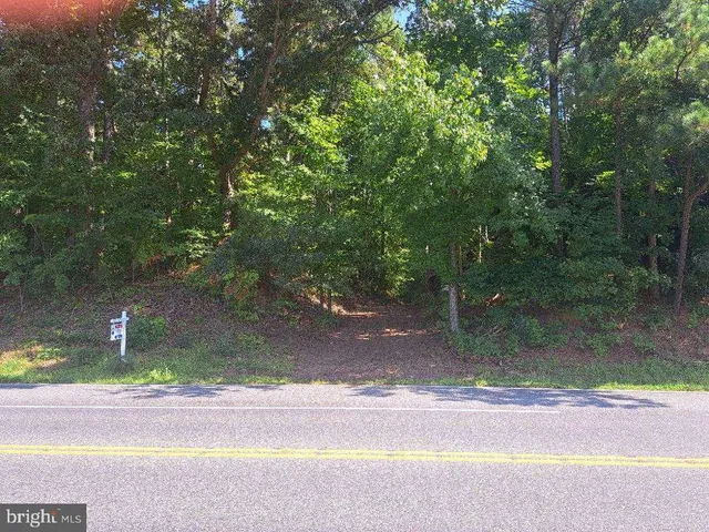 a view of a park with a bench and a sign board