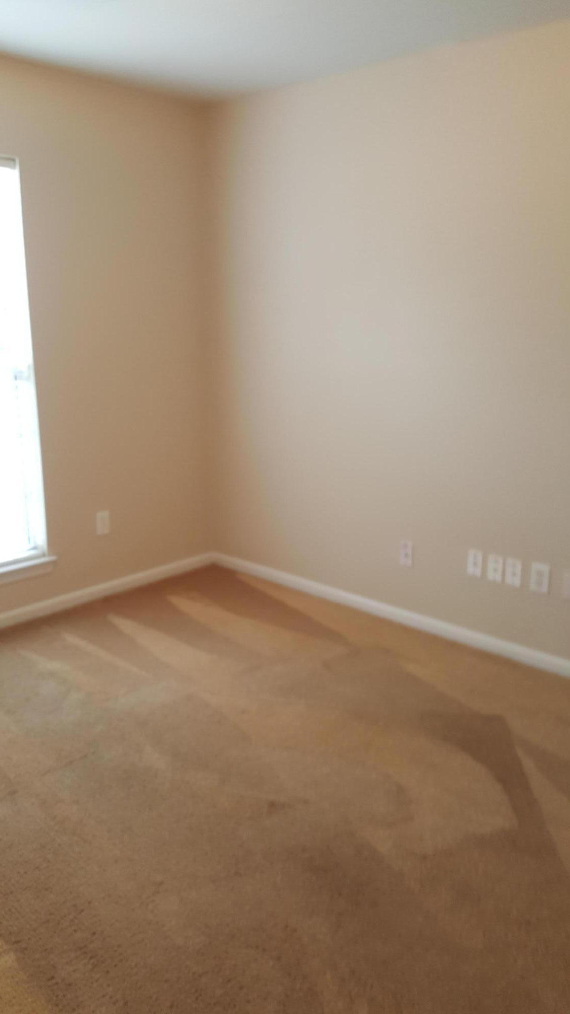 9312 Ayscough Road Summerville, SC 29485 - Photo 4 of 20 front downstairs bedroo