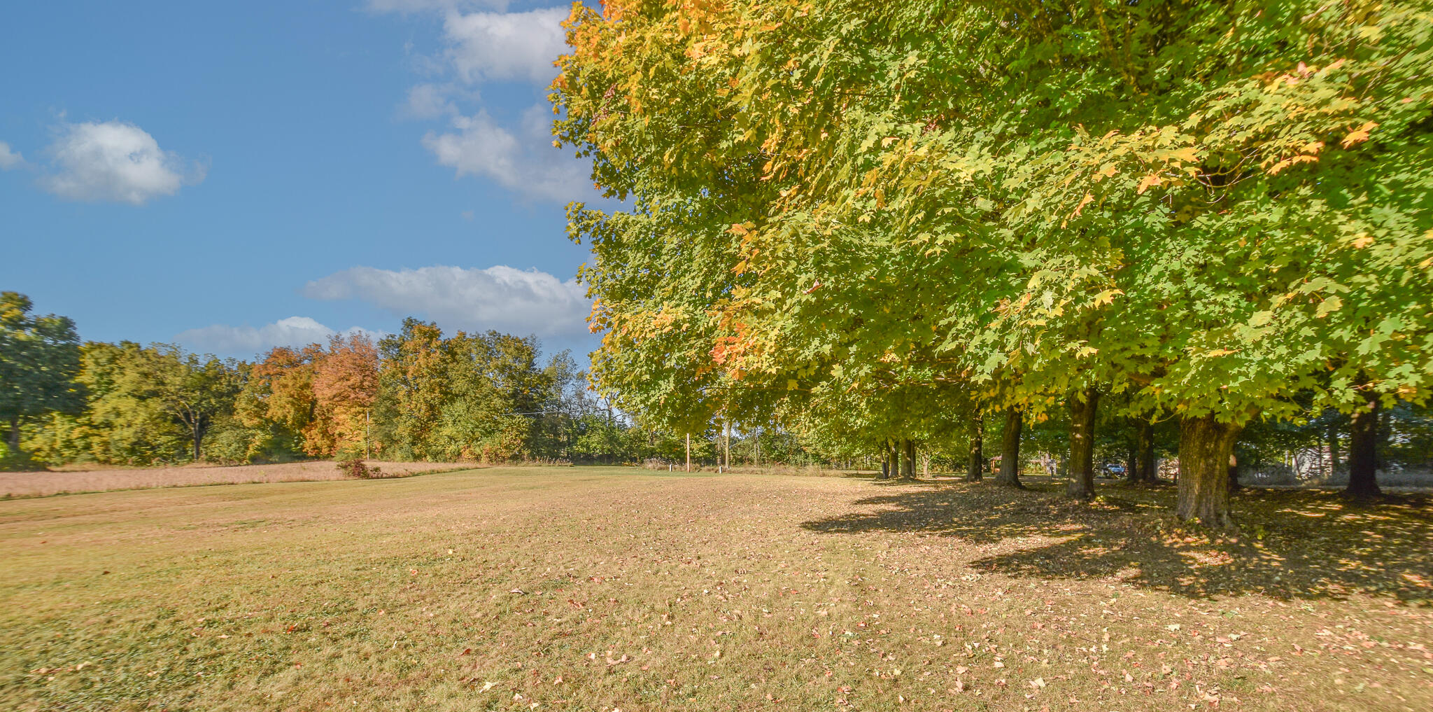 5228 Moore Road Tekonsha, MI 49092 - Photo 20 of 37 DSC_0100-Edit