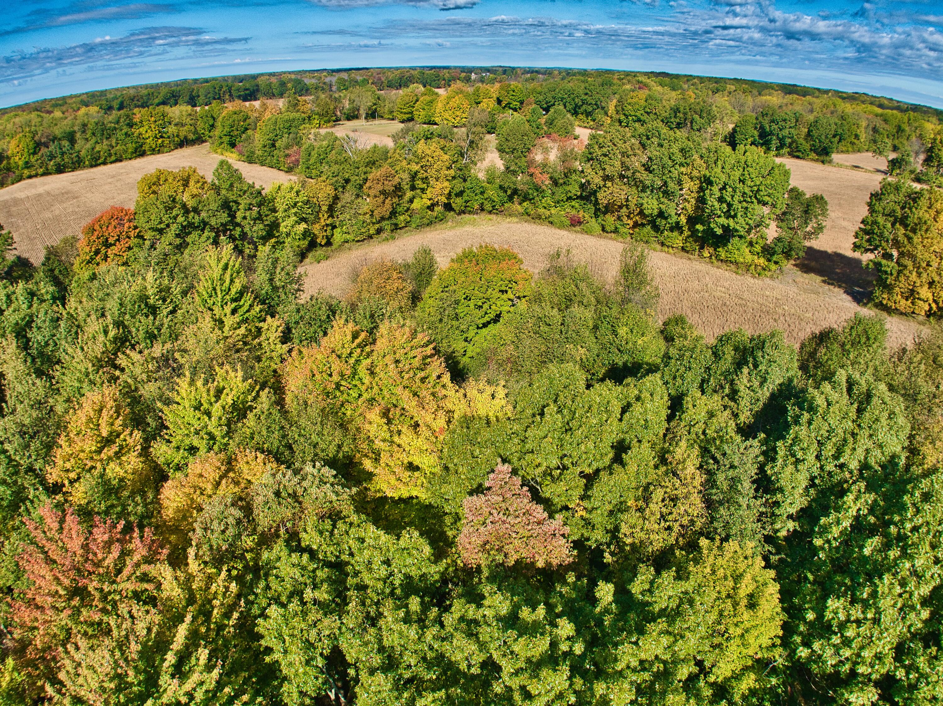 5228 Moore Road Tekonsha, MI 49092 - Photo 25 of 37 5228MooreRd - 10-8-24_10