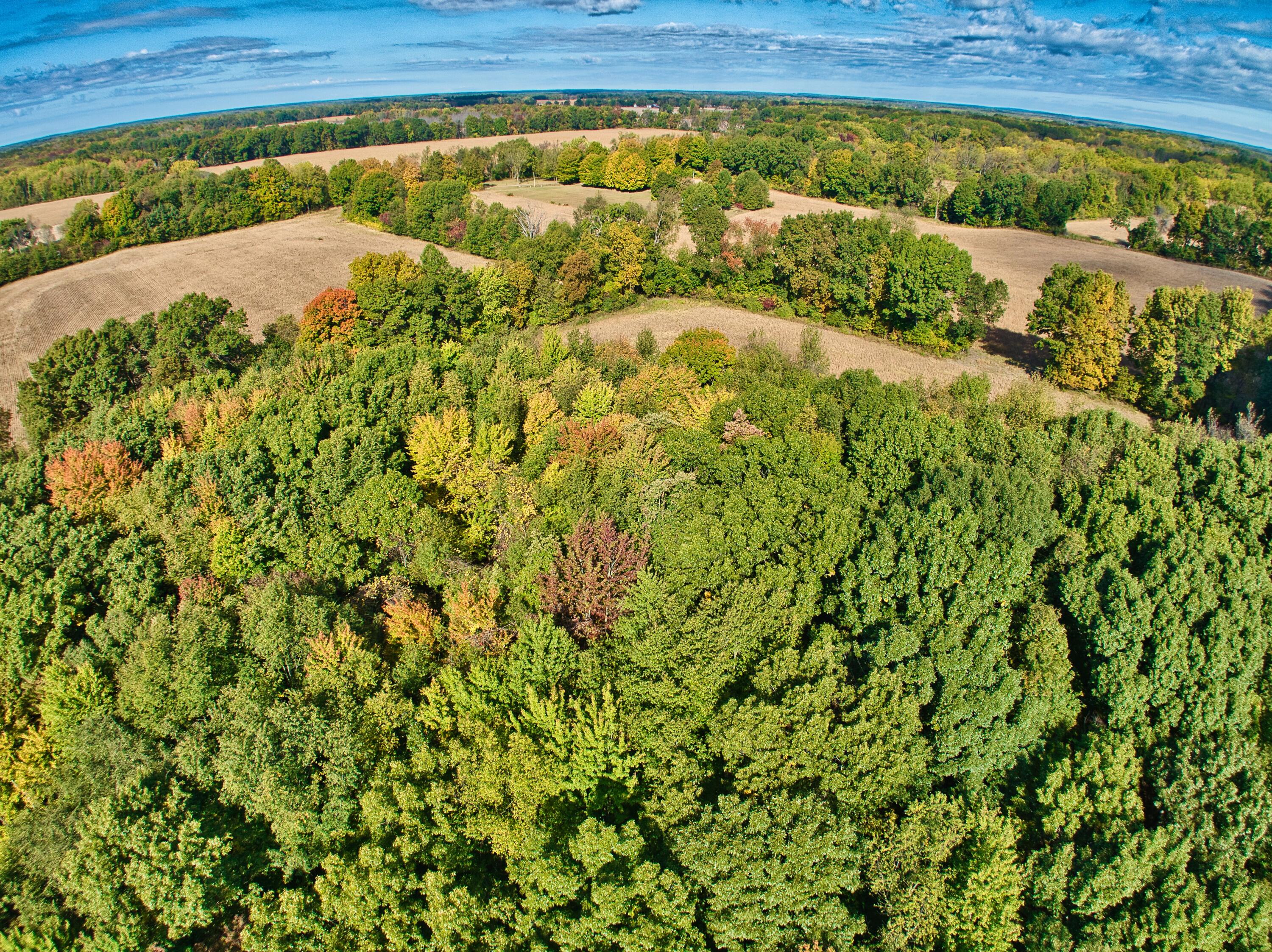 5228 Moore Road Tekonsha, MI 49092 - Photo 35 of 37 5228MooreRd - 10-8-24_9