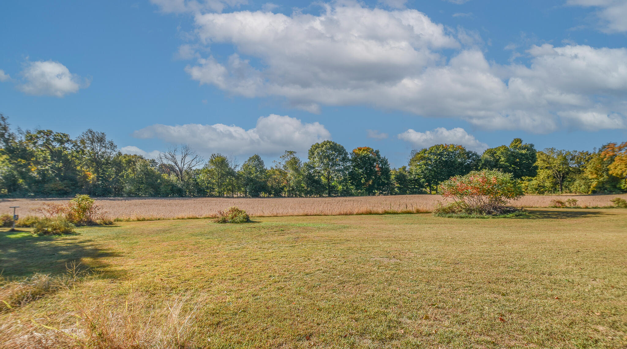 5228 Moore Road Tekonsha, MI 49092 - Photo 4 of 37 DSC_0066-Edit