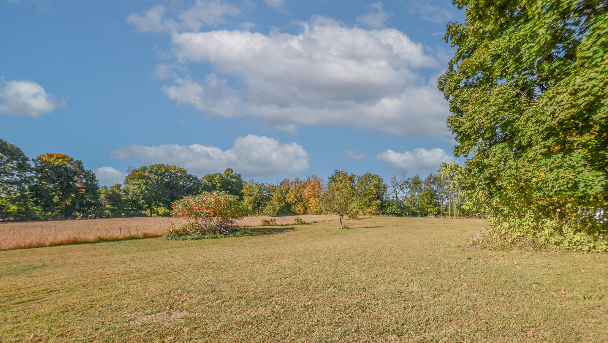 5228 Moore Road Tekonsha, MI 49092 - Photo 5 of 37 DSC_0067-Edit
