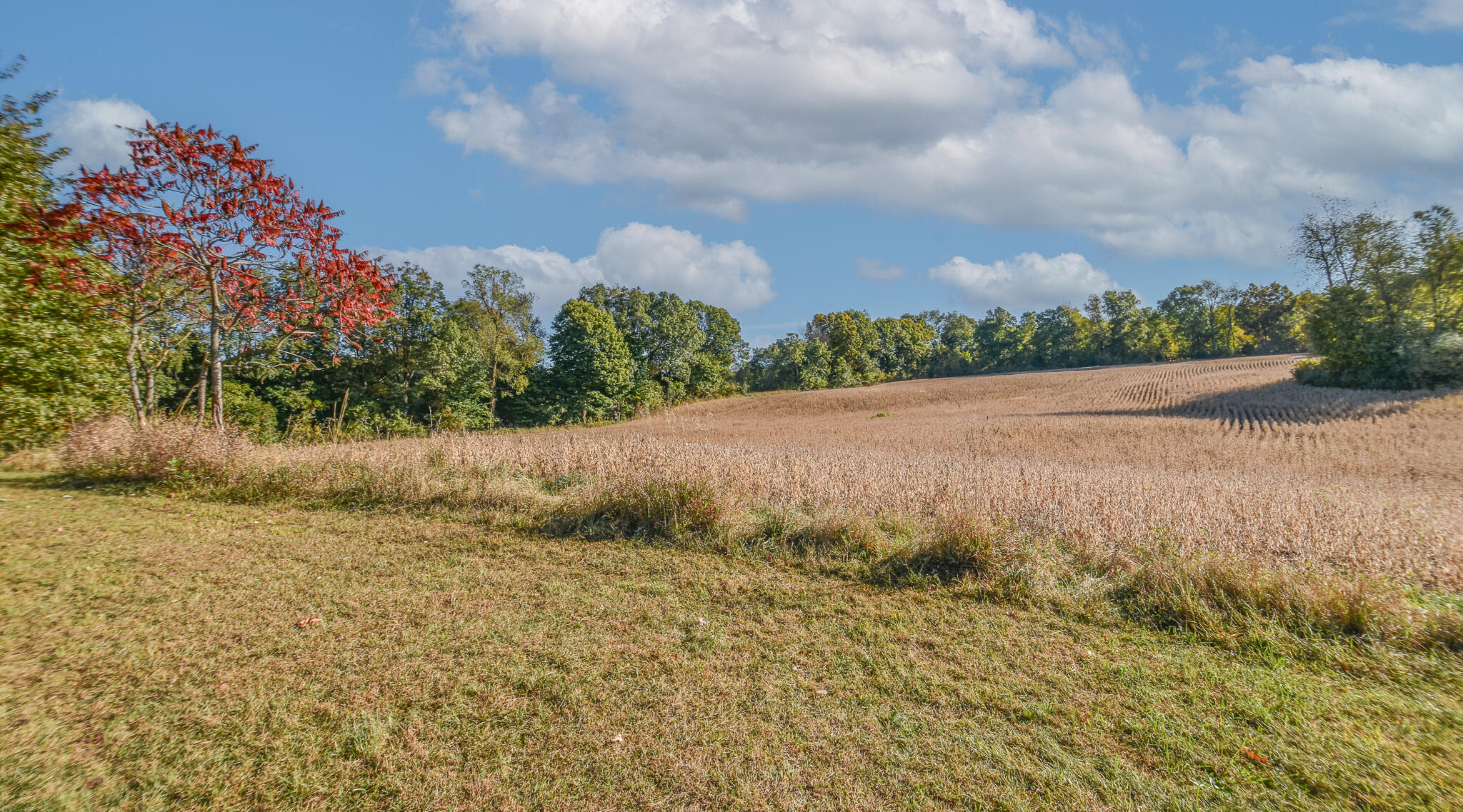 5228 Moore Road Tekonsha, MI 49092 - Photo 6 of 37 DSC_0071-Edit