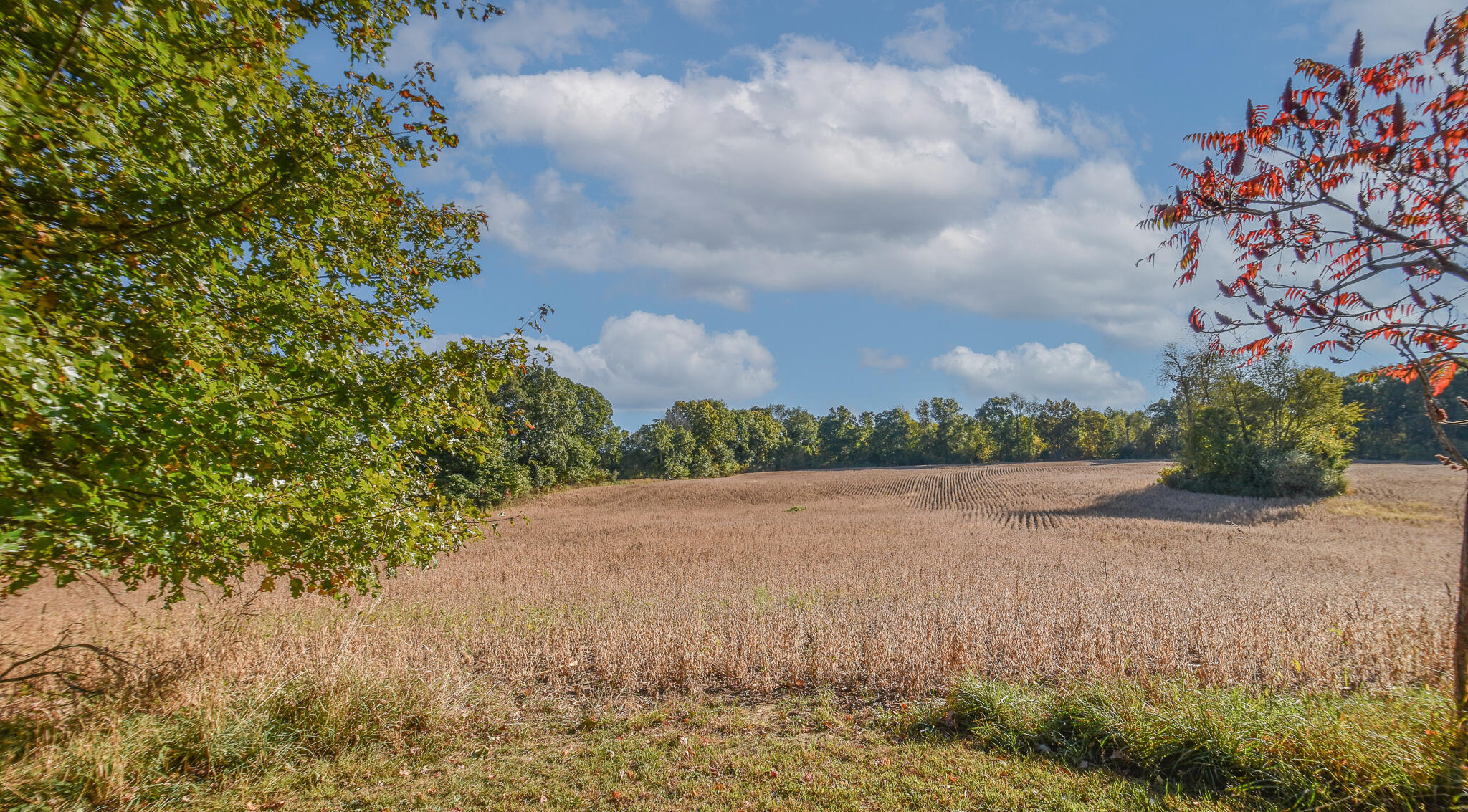 5228 Moore Road Tekonsha, MI 49092 - Photo 7 of 37 DSC_0075-Edit