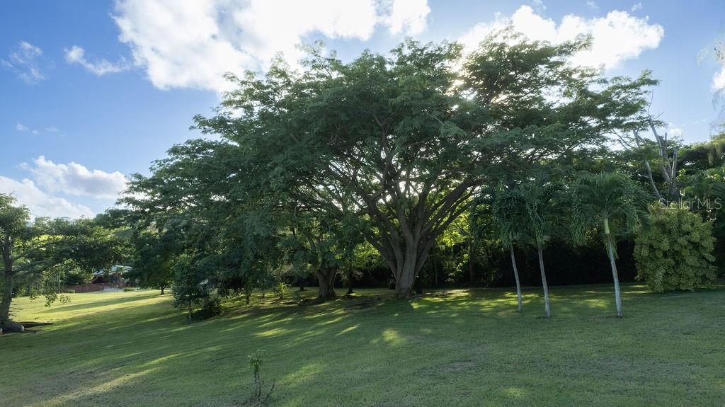 1 Bo Pilon Vieques, PR 00765 - Photo 8 of 29 Gallery Image 8