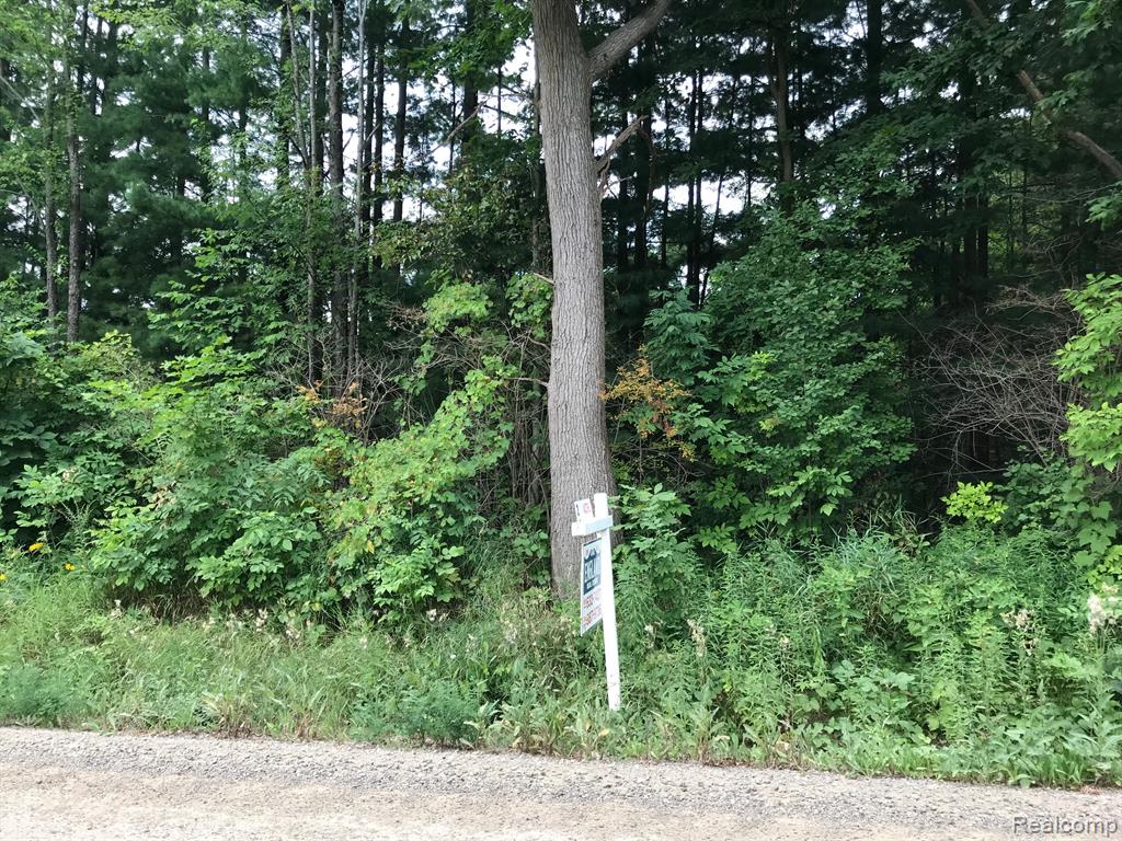 0 Mack Road Howell, MI 48855 - Photo 2 of 4