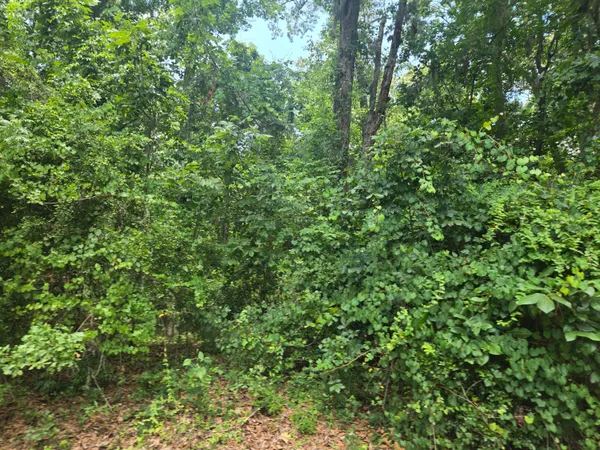 $45,000 | 12 Pinewood Drive, Santee, SC 29142