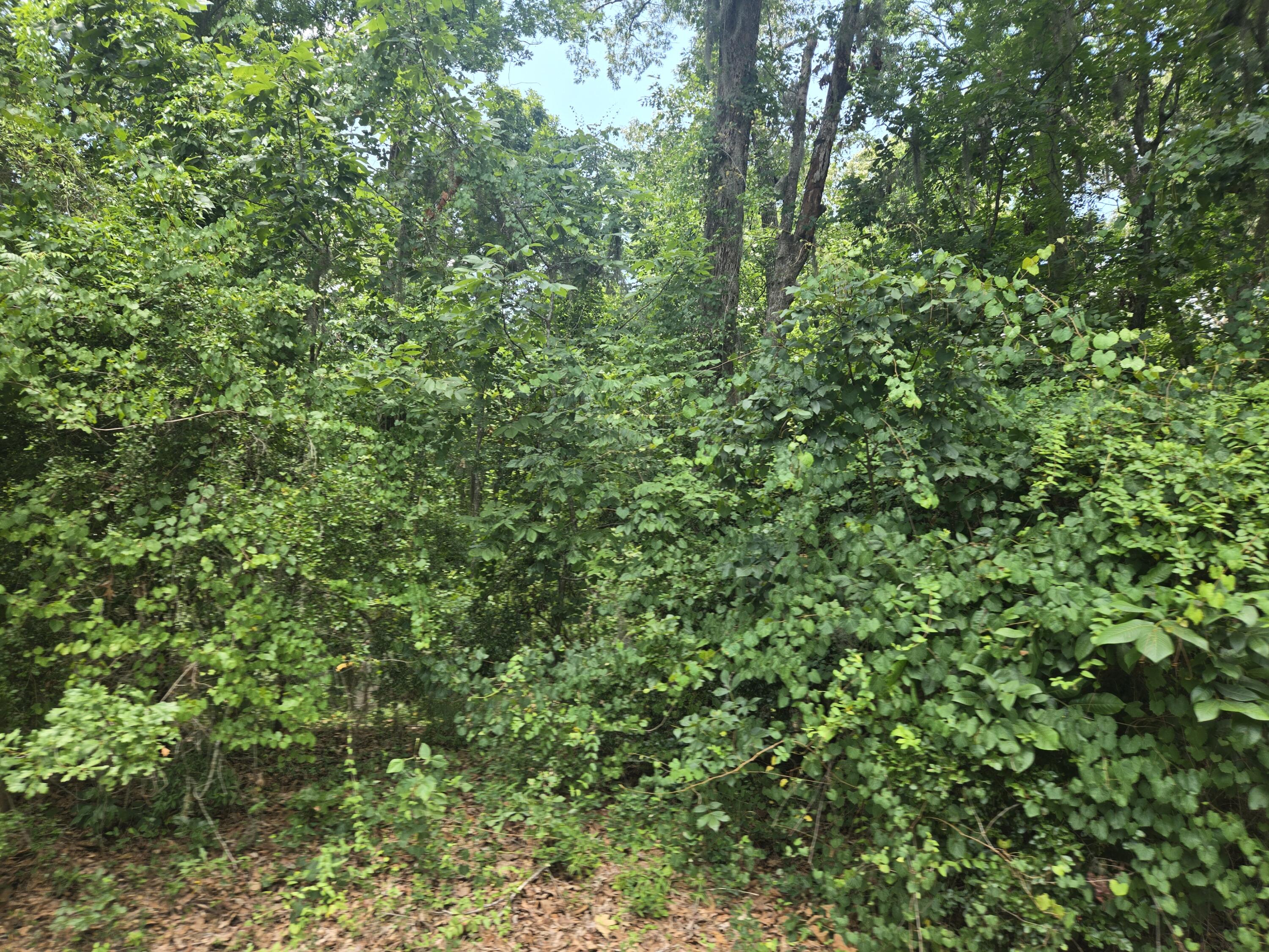 12 Pinewood Drive Santee, SC 29142 - Photo 1 of 4 20260705_130146