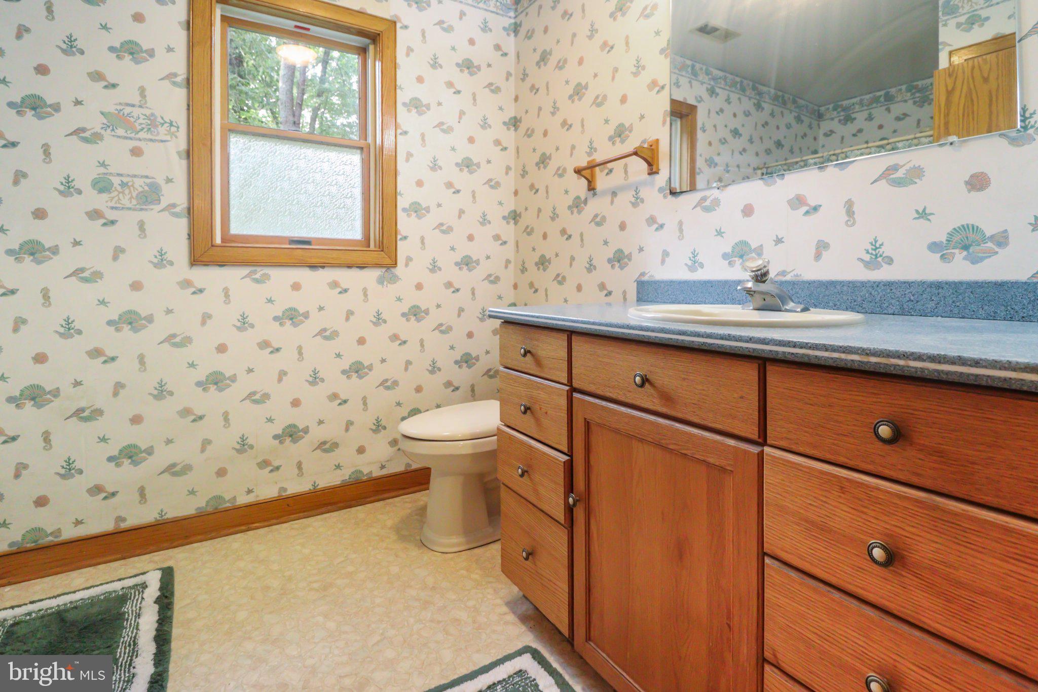 74 Cedar Road Pittsgrove, NJ 08318 - Photo 20 of 23 Charming bathroom with floral accents.