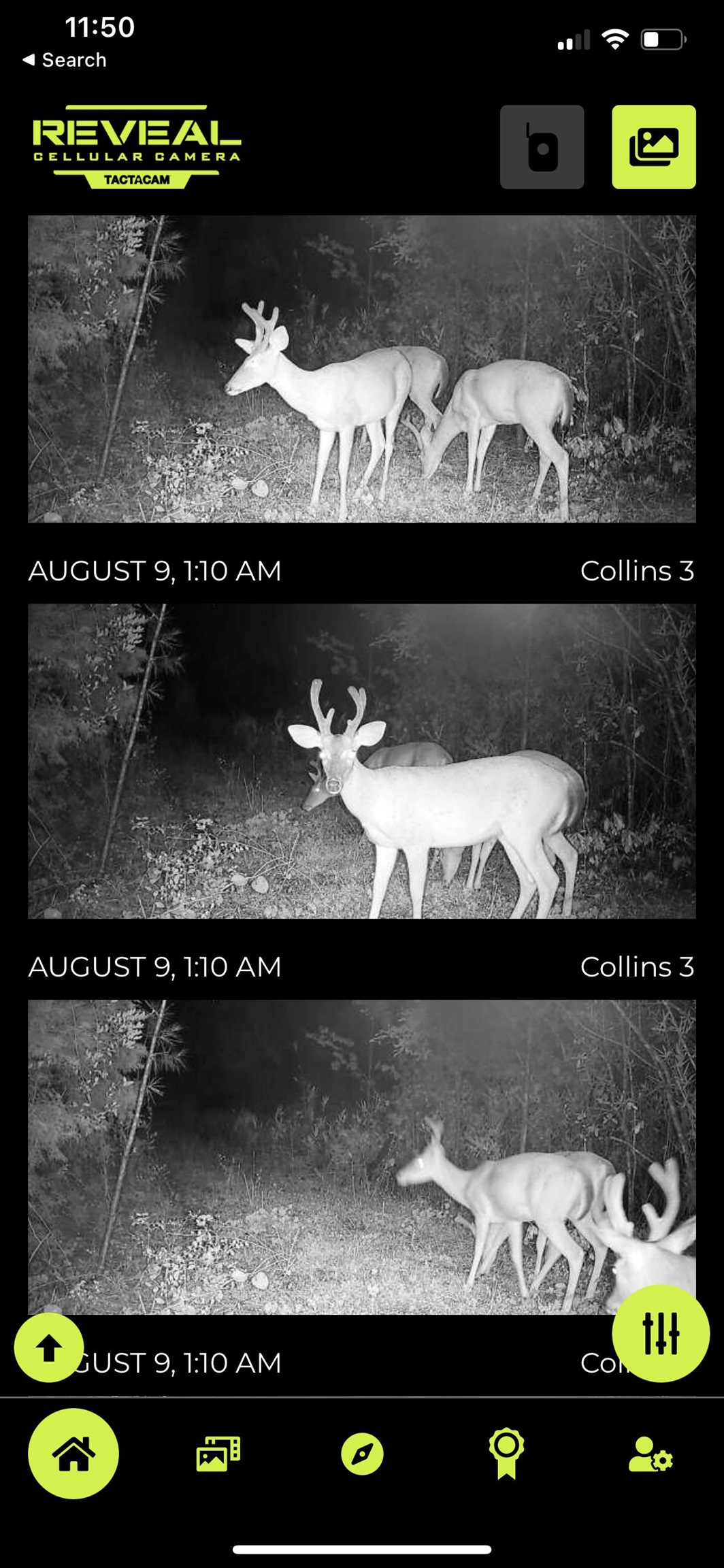 Hoyle Bryars Road Perdido, AL 36562 - Photo 8 of 12