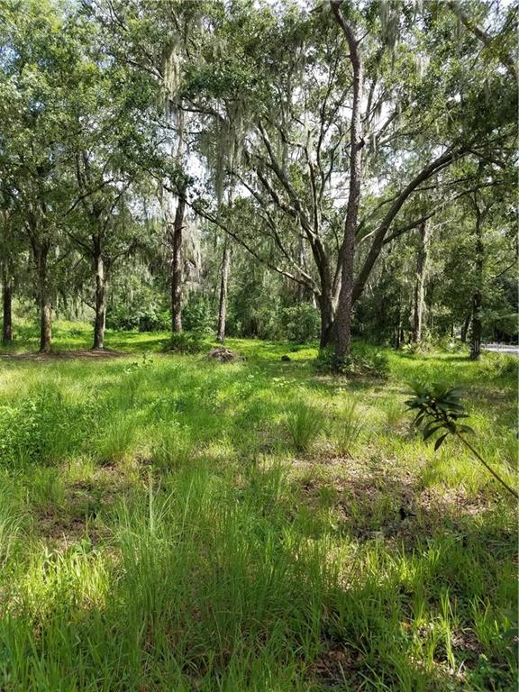 3902 Jerry Smith Road Dover, FL 33527 - Photo 1 of 1