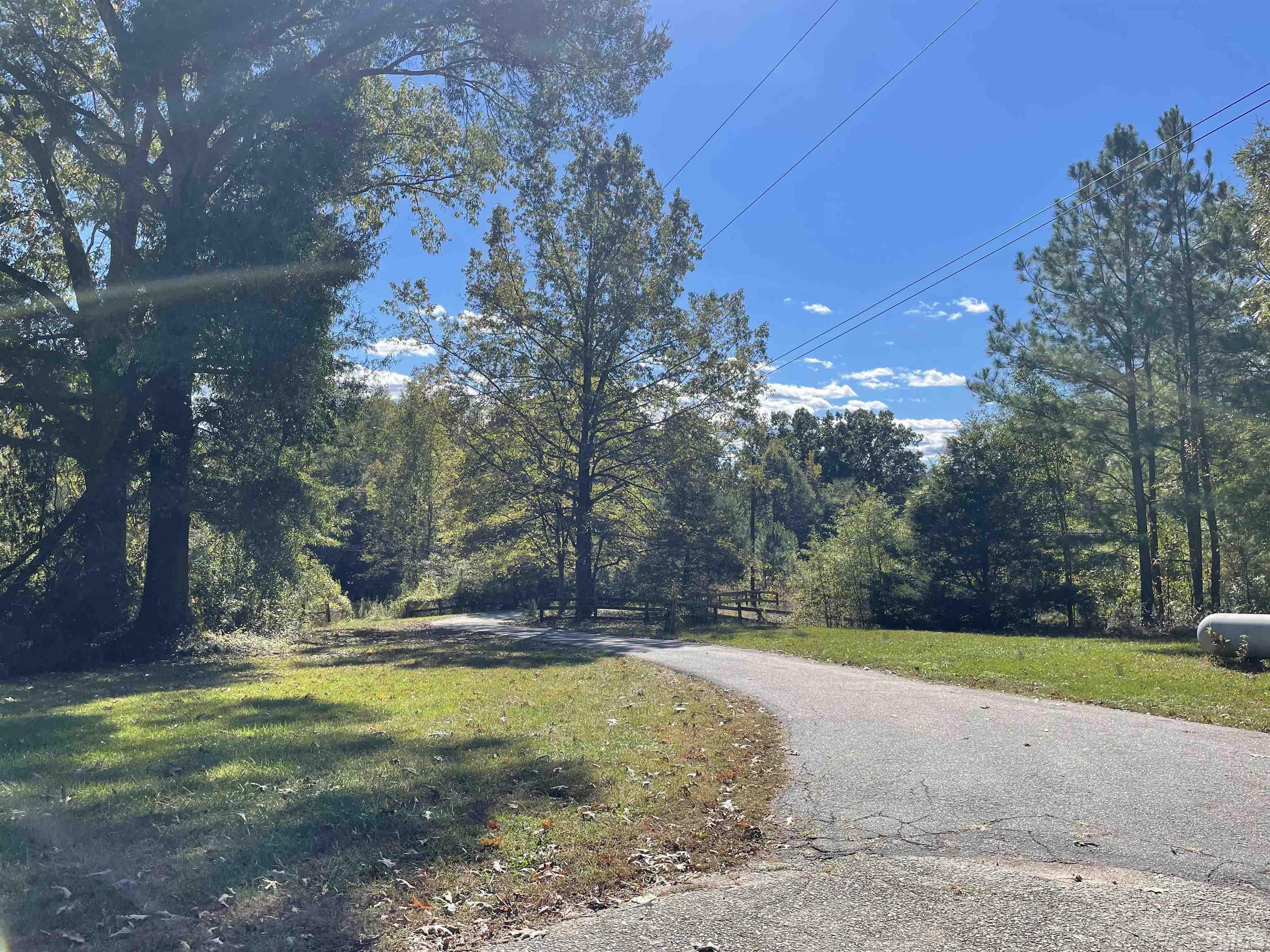 a view of a yard with palm trees