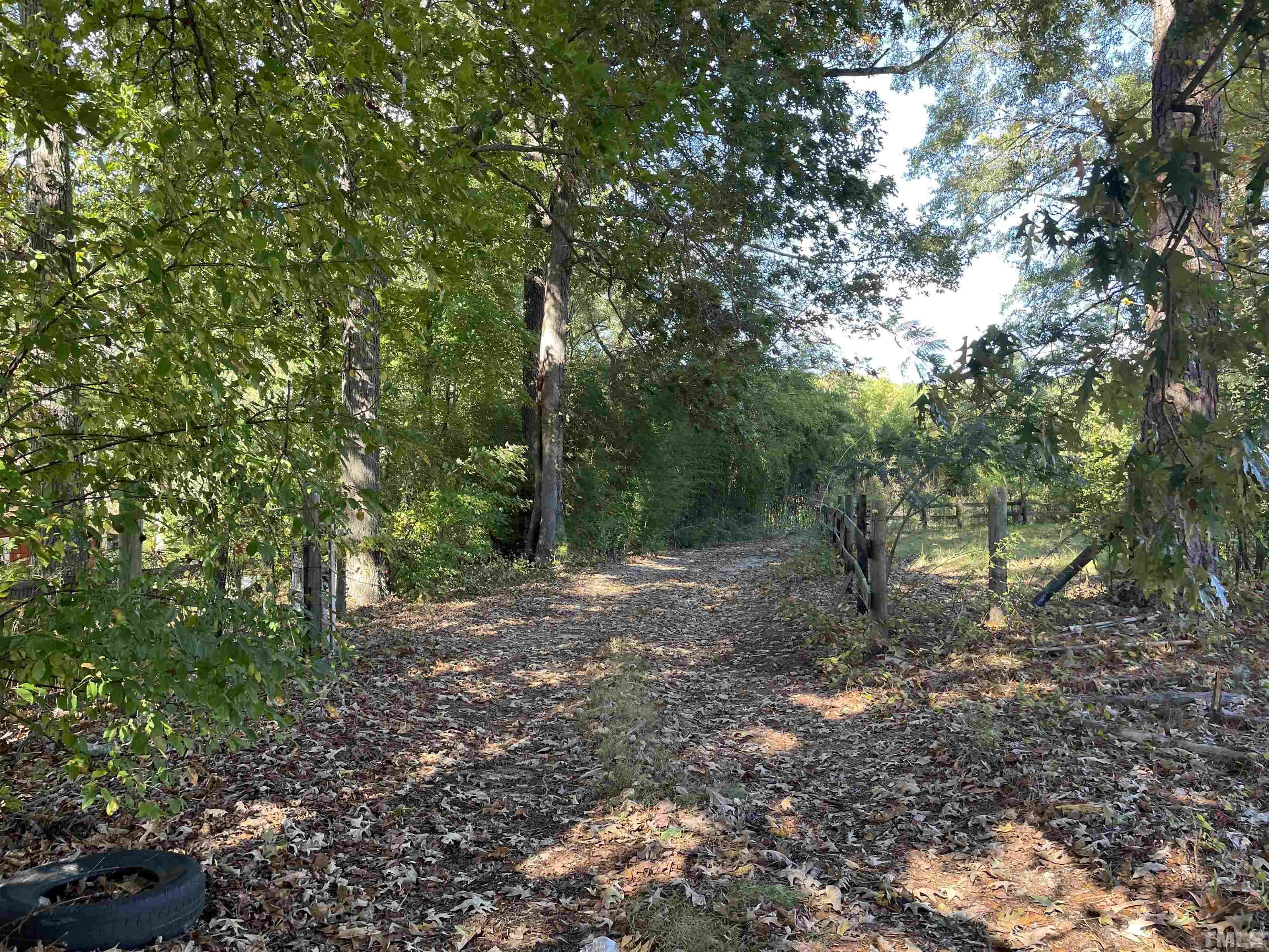 6605 Old Stage Road Raleigh, NC 27603 - Photo 6 of 13 a view of a forest with trees in the background