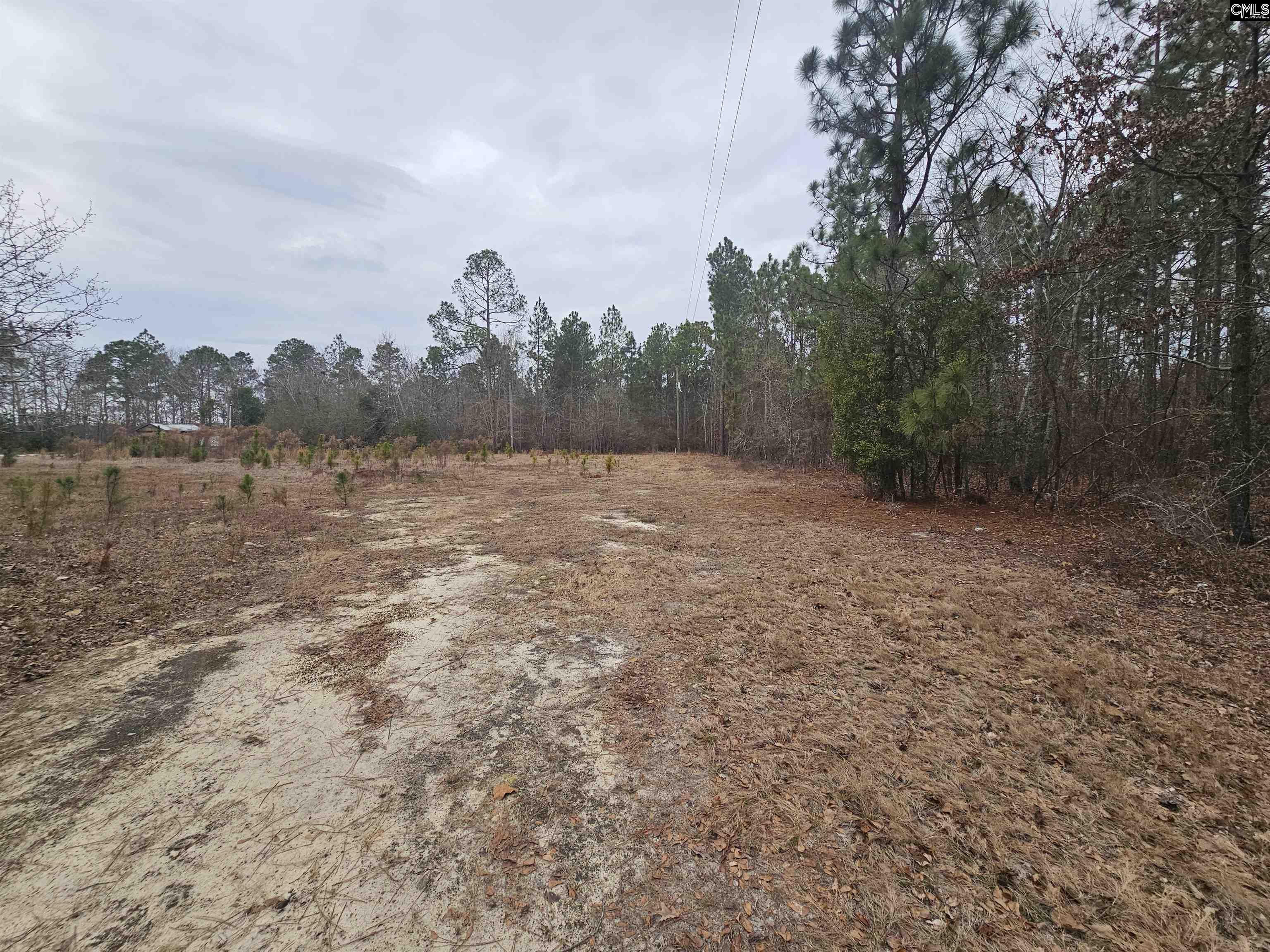 722 Jeff Sharpe Road Gaston, SC 29053 - Photo 6 of 18