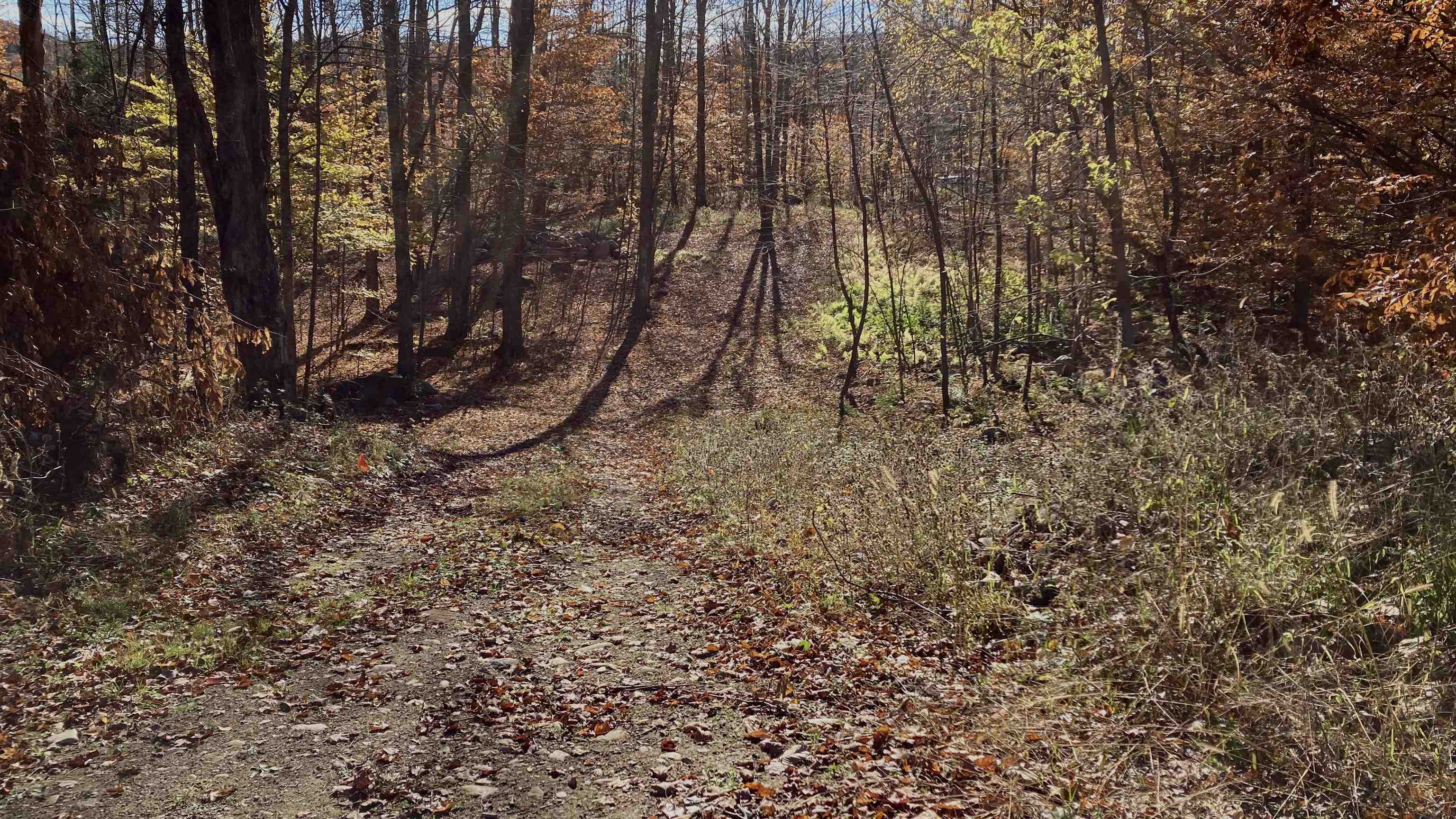 0 Pasquale Street, Unit 9 Pittsford, VT 05763 - Photo 34 of 57