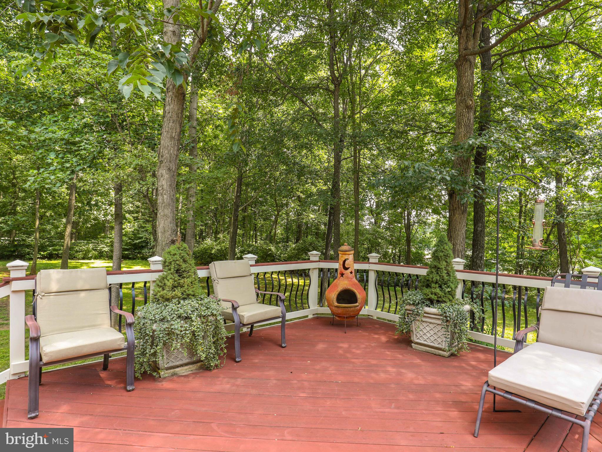 36727 Allder School Road Purcellville, VA 20132 - Photo 50 of 53