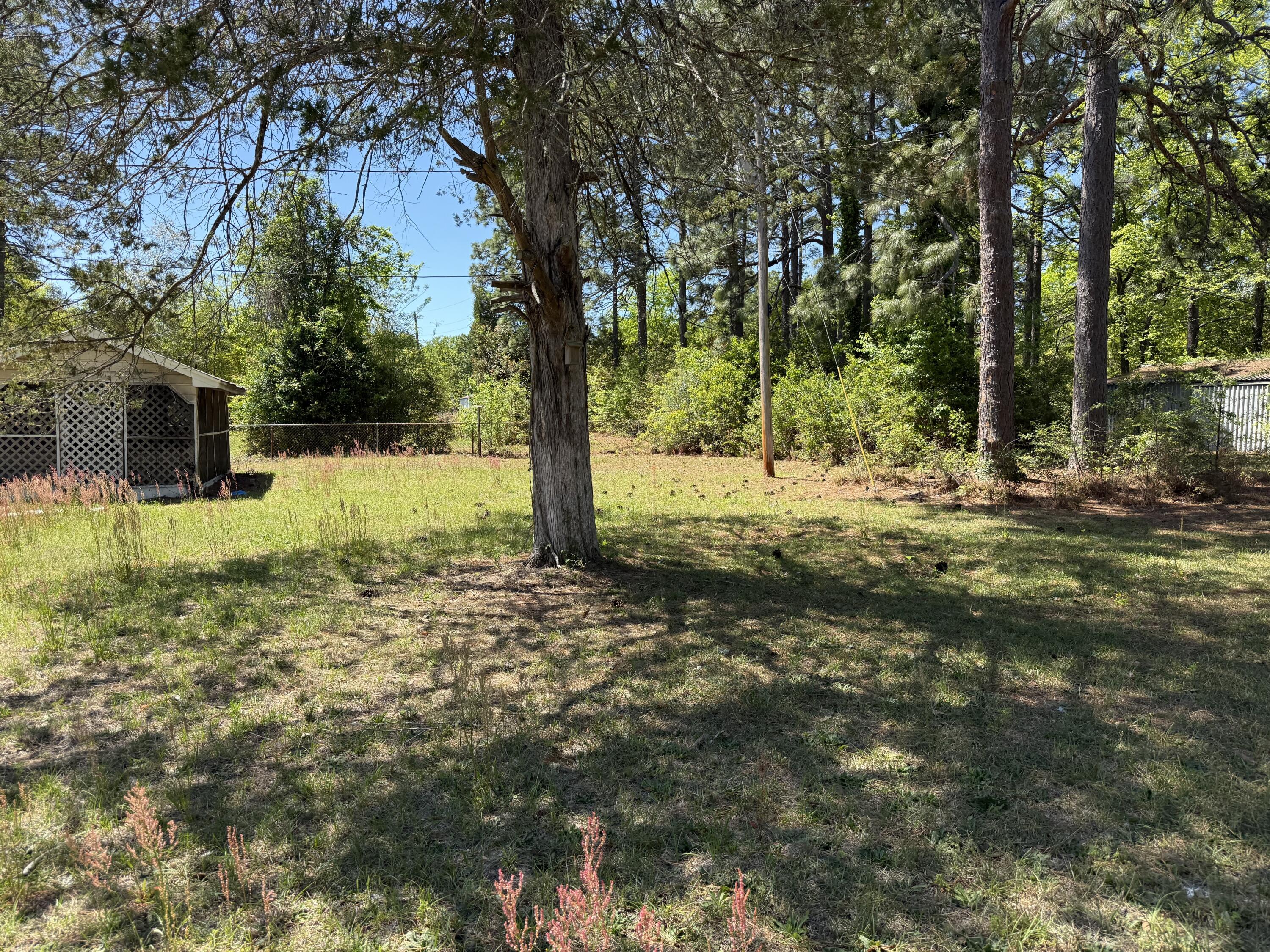 1036 South Street Aiken, SC 29803 - Photo 16 of 19 IMG_9031