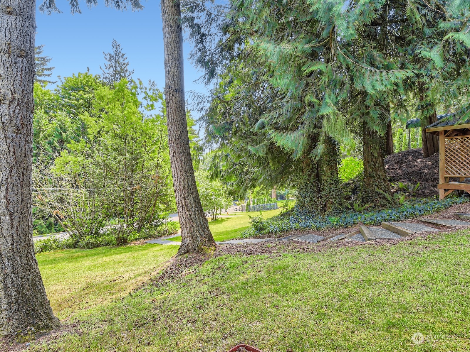 20614 West Richmond Road Bothell, WA 98021 - Photo 20 of 24 a view of a yard with a tree