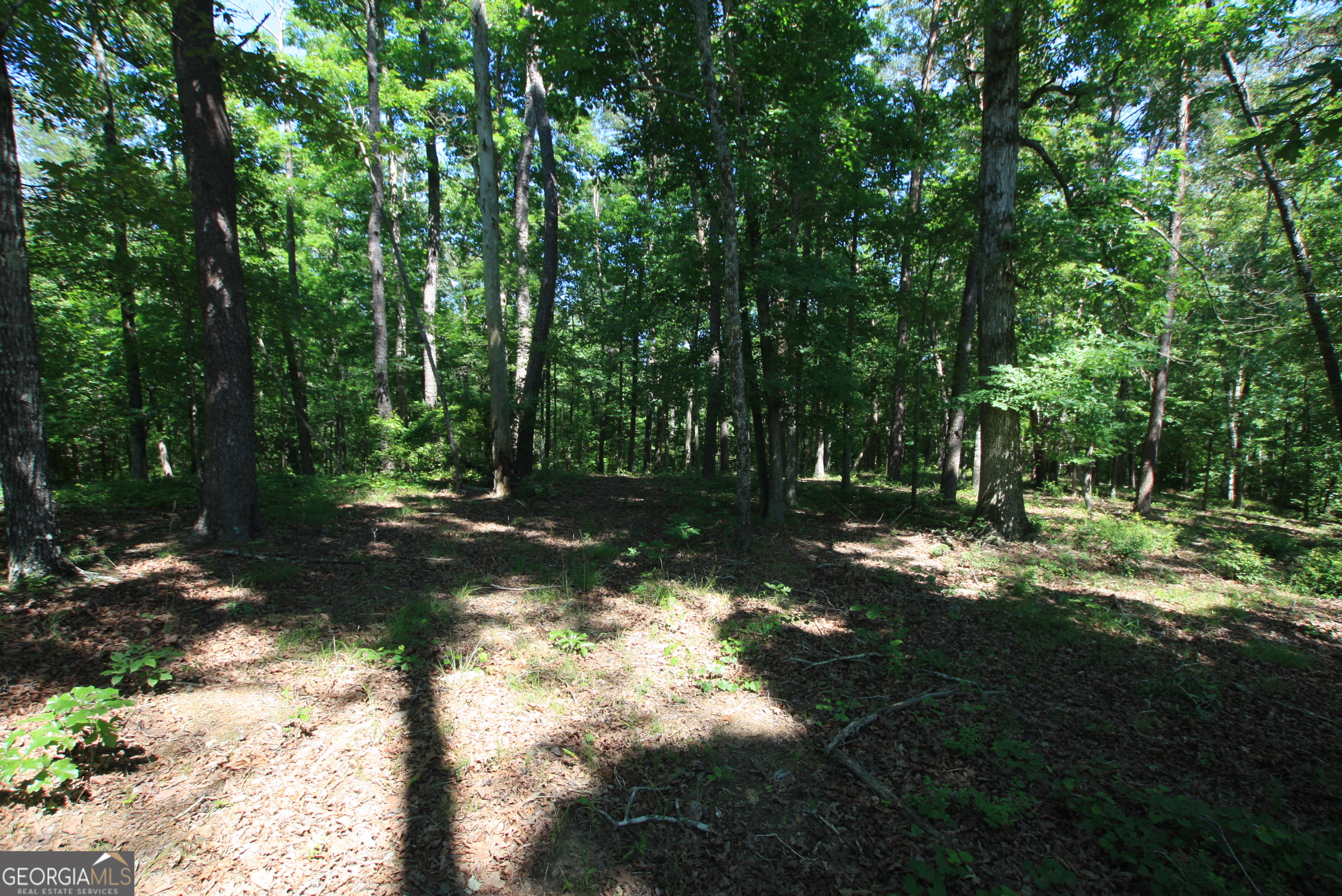 0 Mcgee Bend Road Rome, GA 30165 - Photo 3 of 33