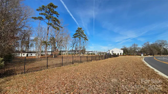 a view of large trees and sky view