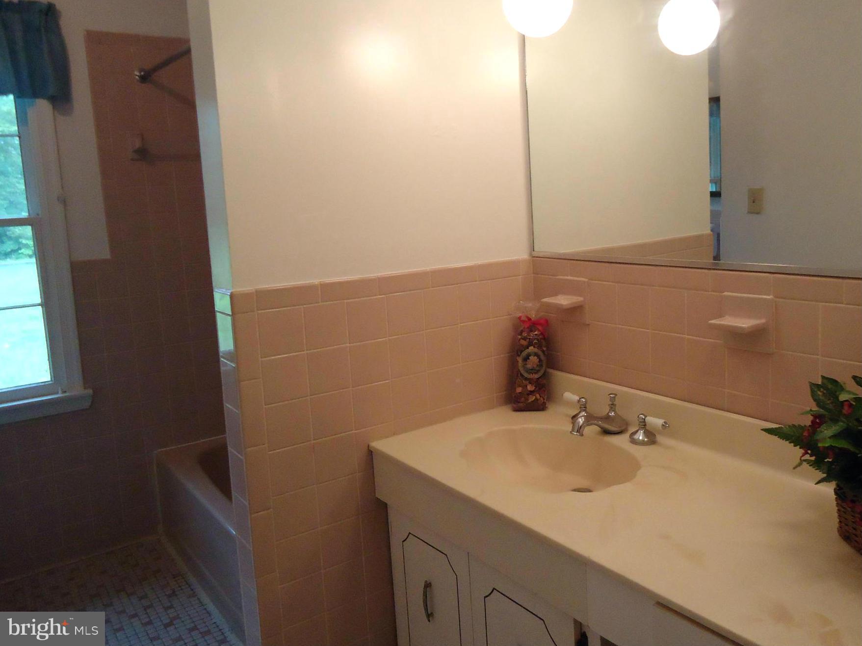7206 Gatewood Road Ruther Glen, VA 22546 - Photo 14 of 18 Bath