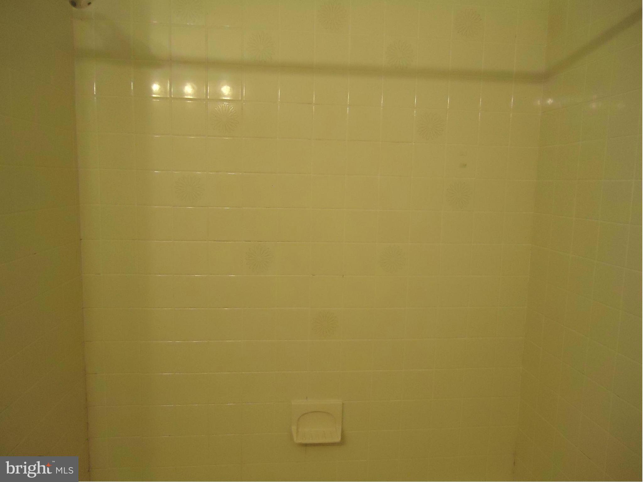 7206 Gatewood Road Ruther Glen, VA 22546 - Photo 17 of 18 Bath (Master)