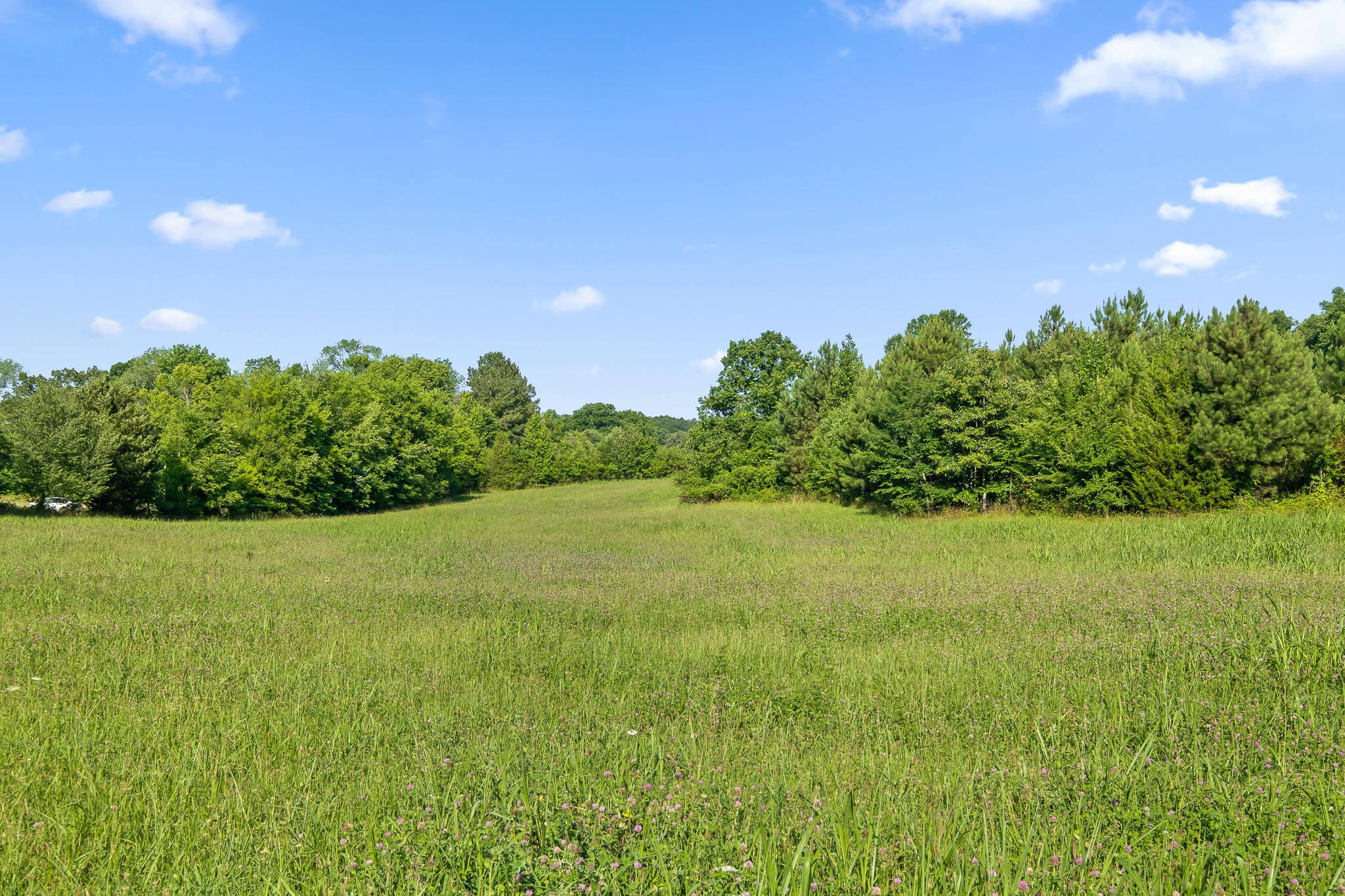 475 Reagan Road Southeast Cleveland, TN 37323 - Photo 11 of 12