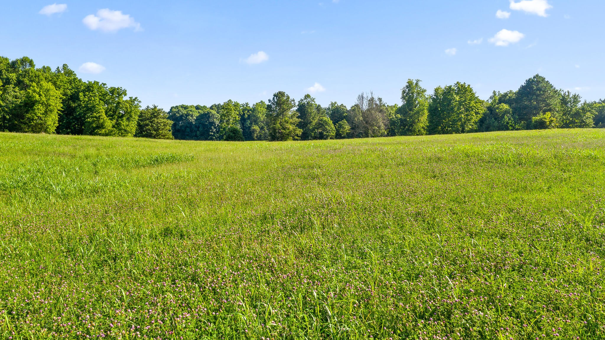 475 Reagan Road Southeast Cleveland, TN 37323 - Photo 3 of 12