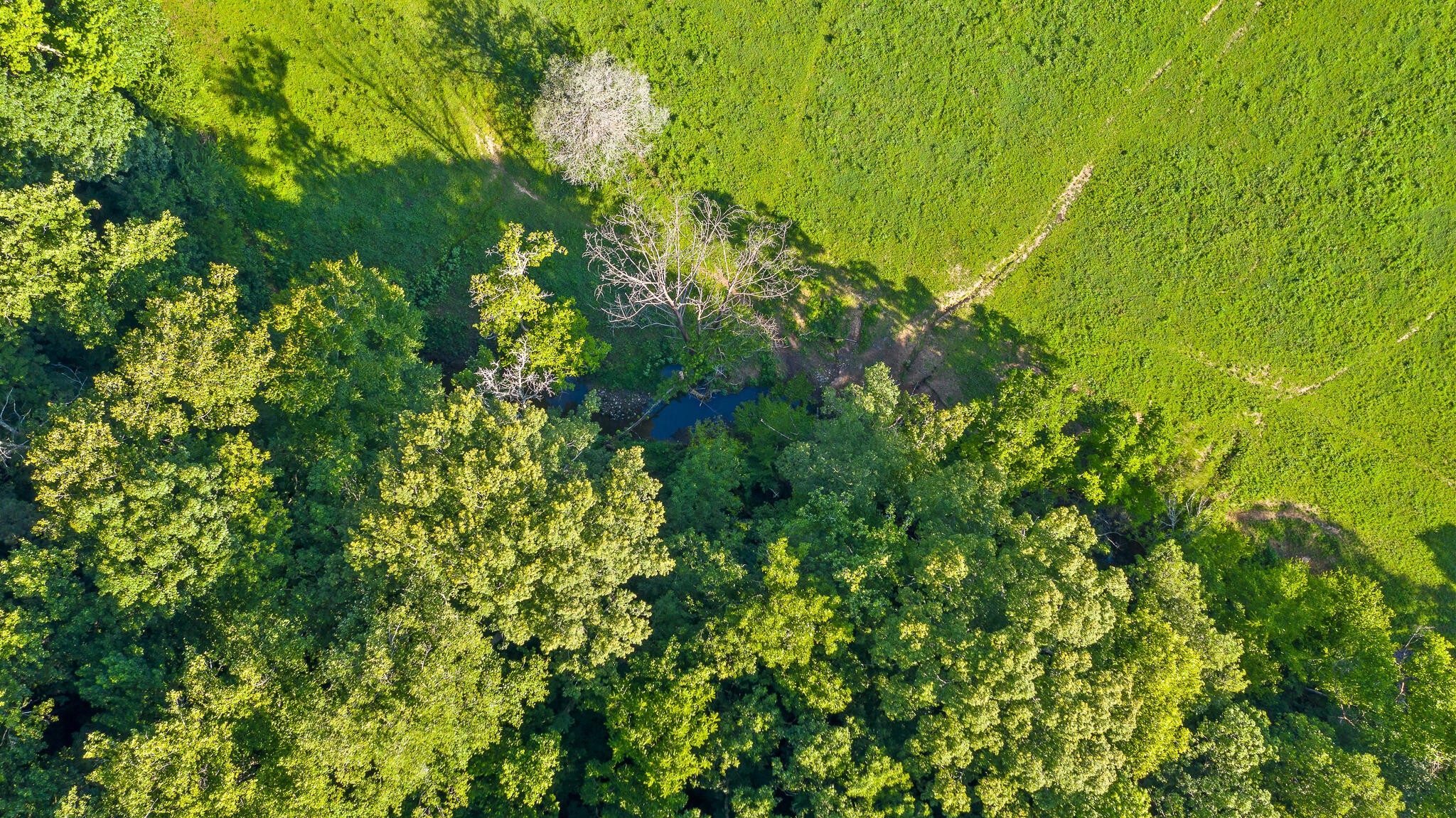 475 Reagan Road Southeast Cleveland, TN 37323 - Photo 7 of 12