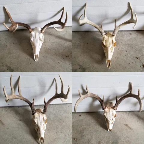 $269,000 | 172 Clf Baudette Mn 56623 Cliff, Baudette, MN 56623