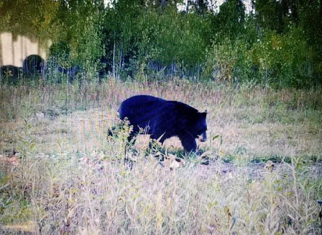 $269,000 | 172 Clf Baudette Mn 56623 Cliff, Baudette, MN 56623