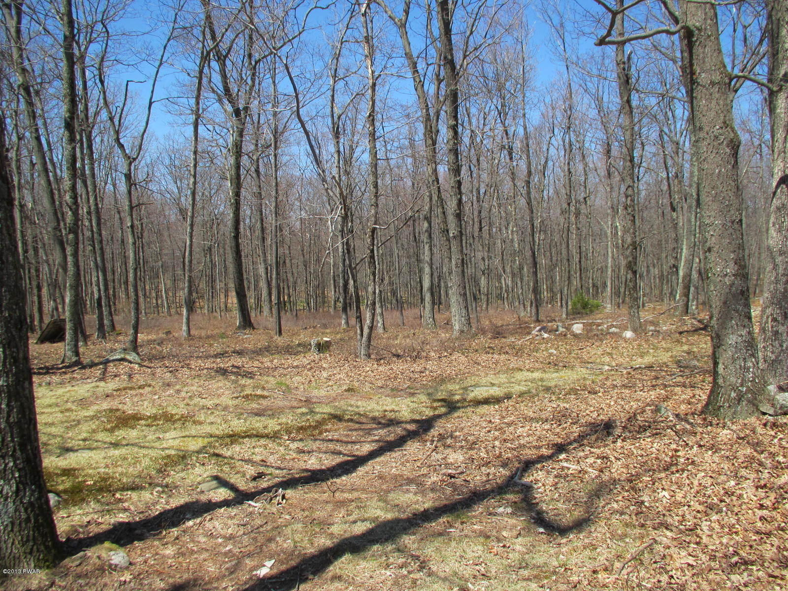 156 3 Legged Swamp Road Canadensis, PA 18325 - Photo 17 of 72