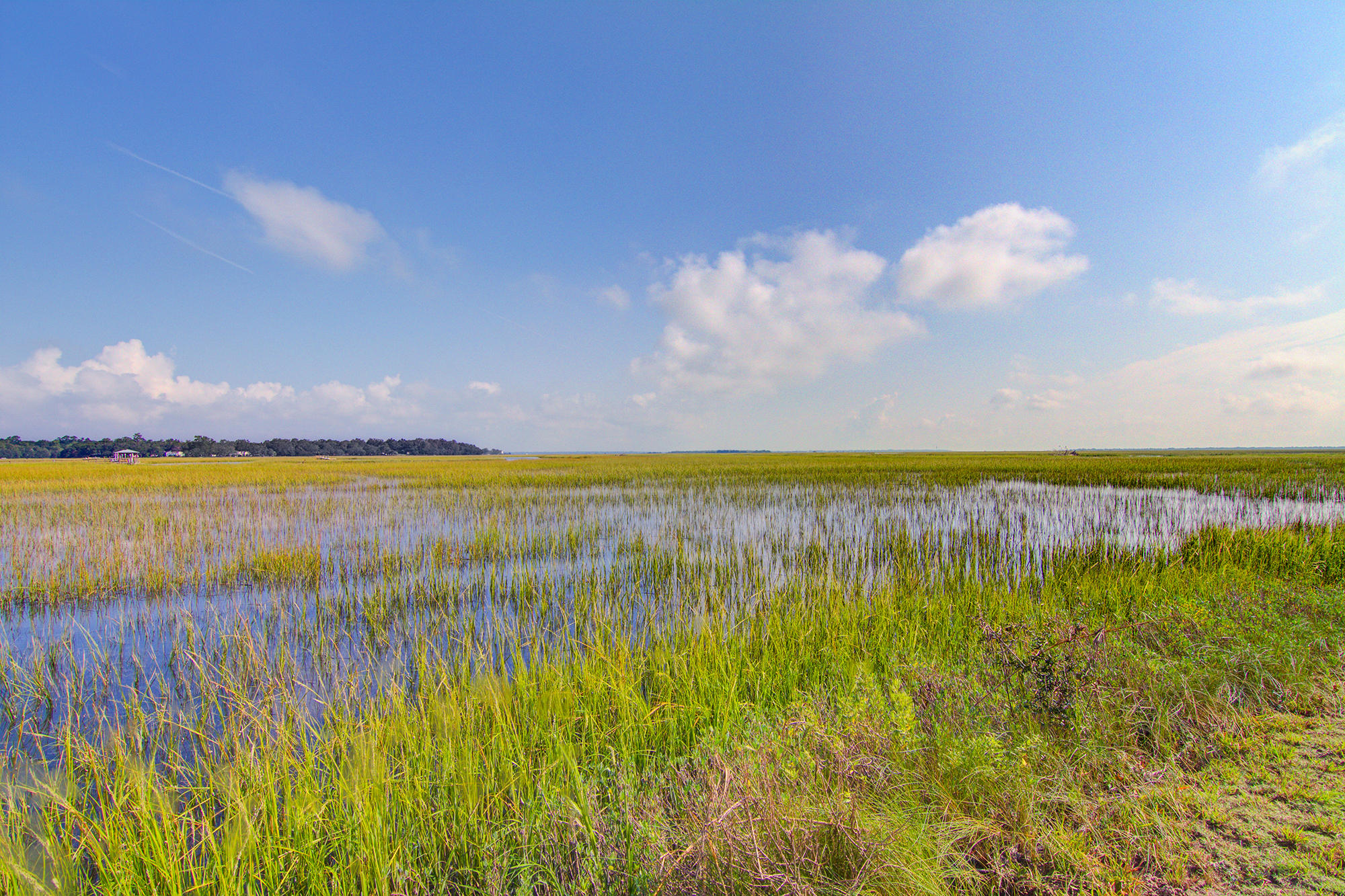 533 Schooner Road Charleston, SC 29412 - Photo 23 of 43 5
