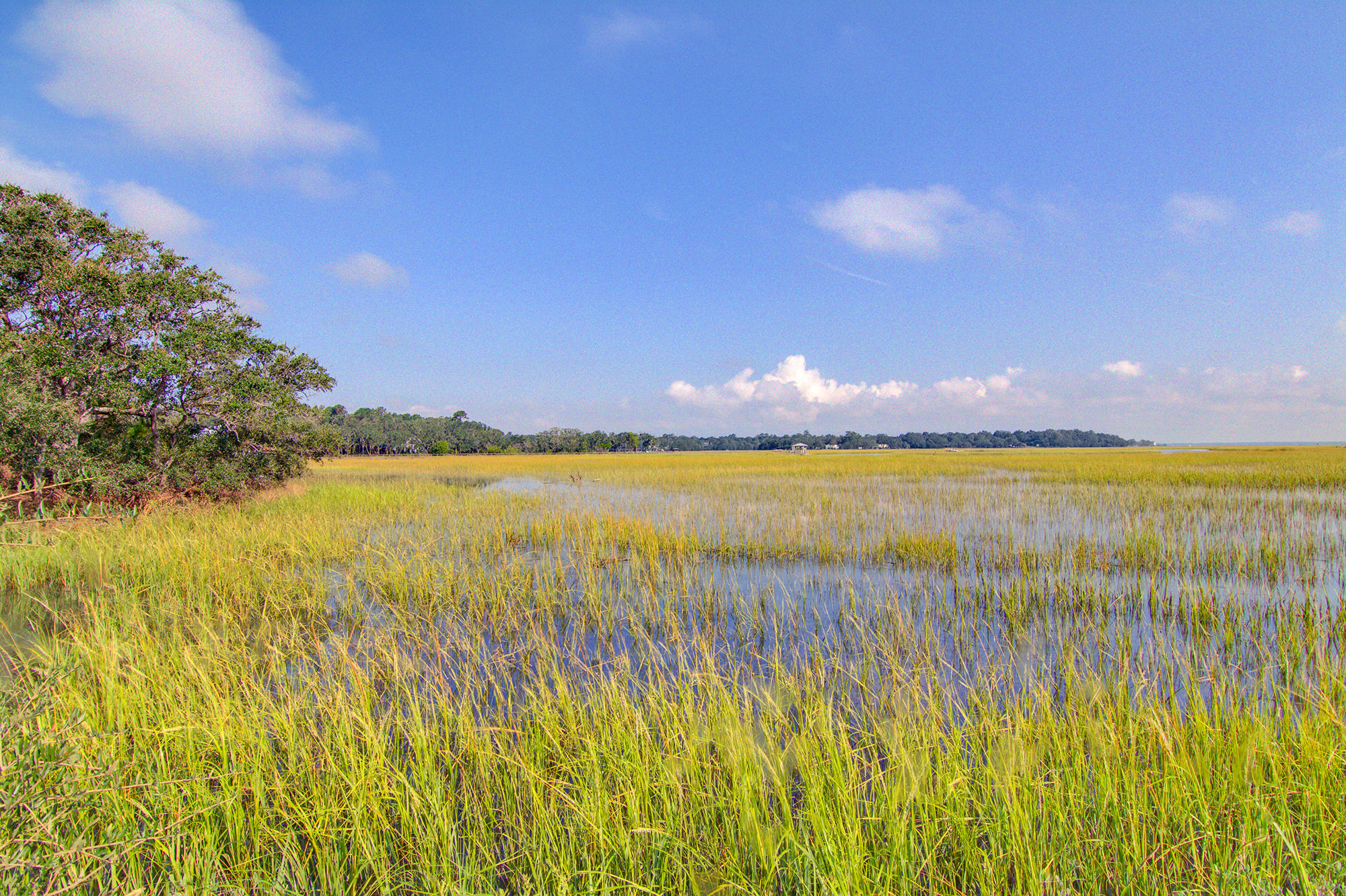 533 Schooner Road Charleston, SC 29412 - Photo 25 of 43 6
